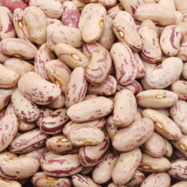 Rajma White