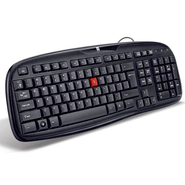 iBall Winner USB Standard Keyboard