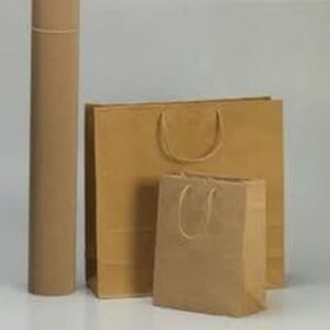 Paper Bags / Envelopes